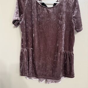 Pleione Velvet Short Sleeve Top in Dusty Purple